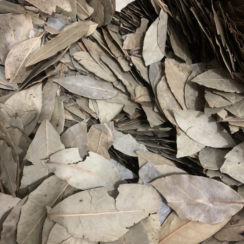 50Gr Lá Nguyệt Quế - Gia Vị & Xông Hơi