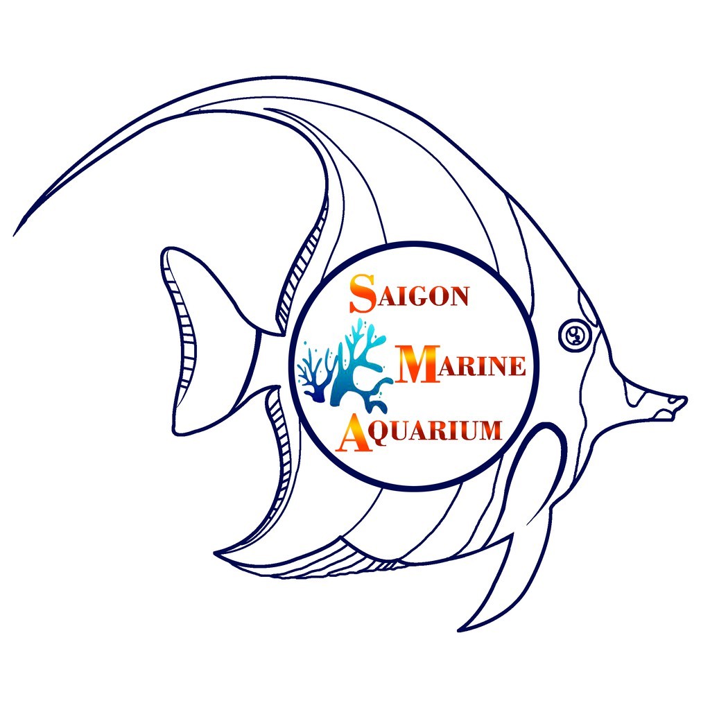 SaiGon Marine Aquarium