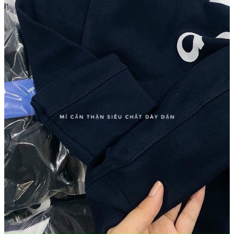 BÁN SỈ ÁO HODIE MŨ DSA MÀU THAN CHO NỮ