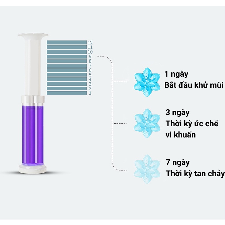 Gel khử mùi bồn cầu hình bông hoa , gel thơm khử trùng bồn cầu, Lavabo, làm sạch Toilet với 6 mùi hương
