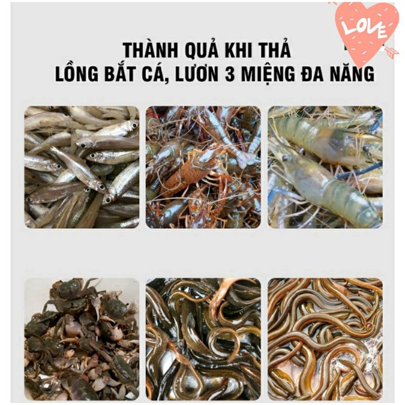 Lồng bẫy lươn 3 cửa bắt tôm cua cá lươn phiên bản mới
