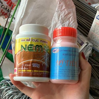 SET 01 KÍCH RỄ NEM VÀ 01 KEO LIỀN DA CÂY