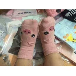 COMBO 5 ĐÔI TẤT PONY KID CHO BÉ