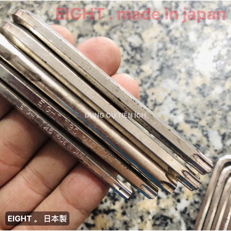Cây Hoa Thị (Bông sao) EIGHT JAPAN (cây lẻ - ngắn)