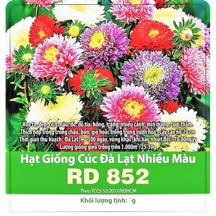 Hạt Giống Hoa Cúc Đà Lạt nhiều màu RD852-- GÓI 0.1 GRAM .