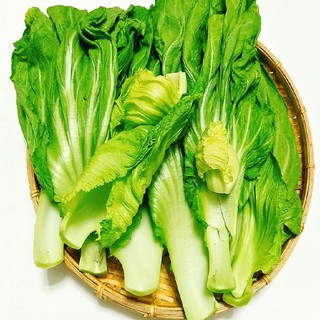 HẠT CẢI BẸ DƯA (TÒA XẠI) - GÓI 10 GRAM