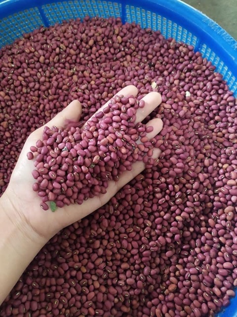 BỘT ĐẬU ĐỎ nguyên chất 100% HANDMADE 1KG[MỊN-ATVSTP-TẮM TRẮNG-DƯỠNG DA- ĐẮP MẶT NẠ-TTBC]