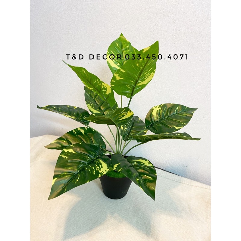 Cây giả decor- Cây lá đốm 30cm