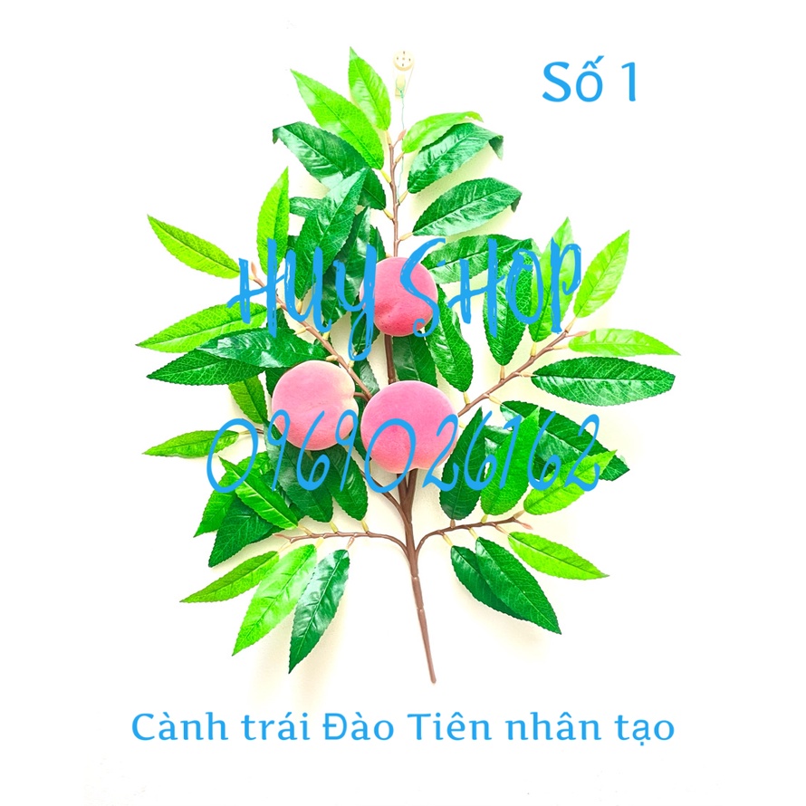 Cành Trái Mãng Cầu Ta - XOÀI - KHẾ - Đào Tiên - Vú Sữa nhân tạo trang trí nhà cửa