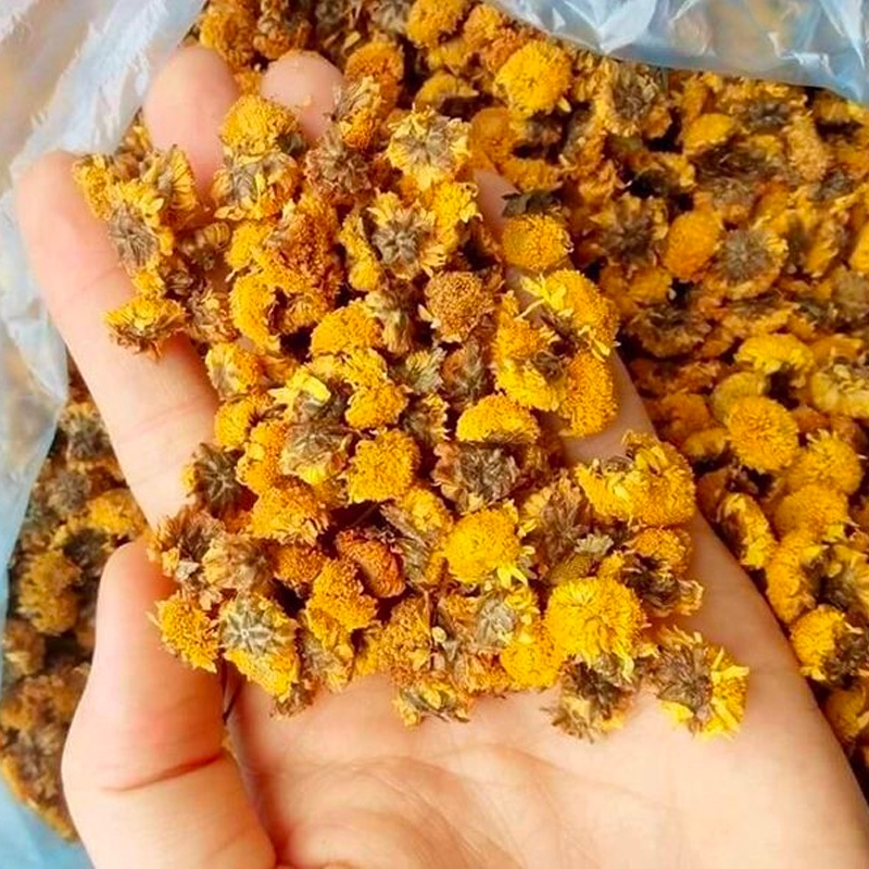 Trà Hoa Cúc Vàng Sấy khô Nguyên Bông  Sasuke - 100g