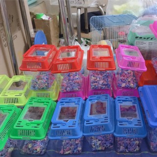 Hộp Mika 3 size Đựng Cá , Chuột Hamster