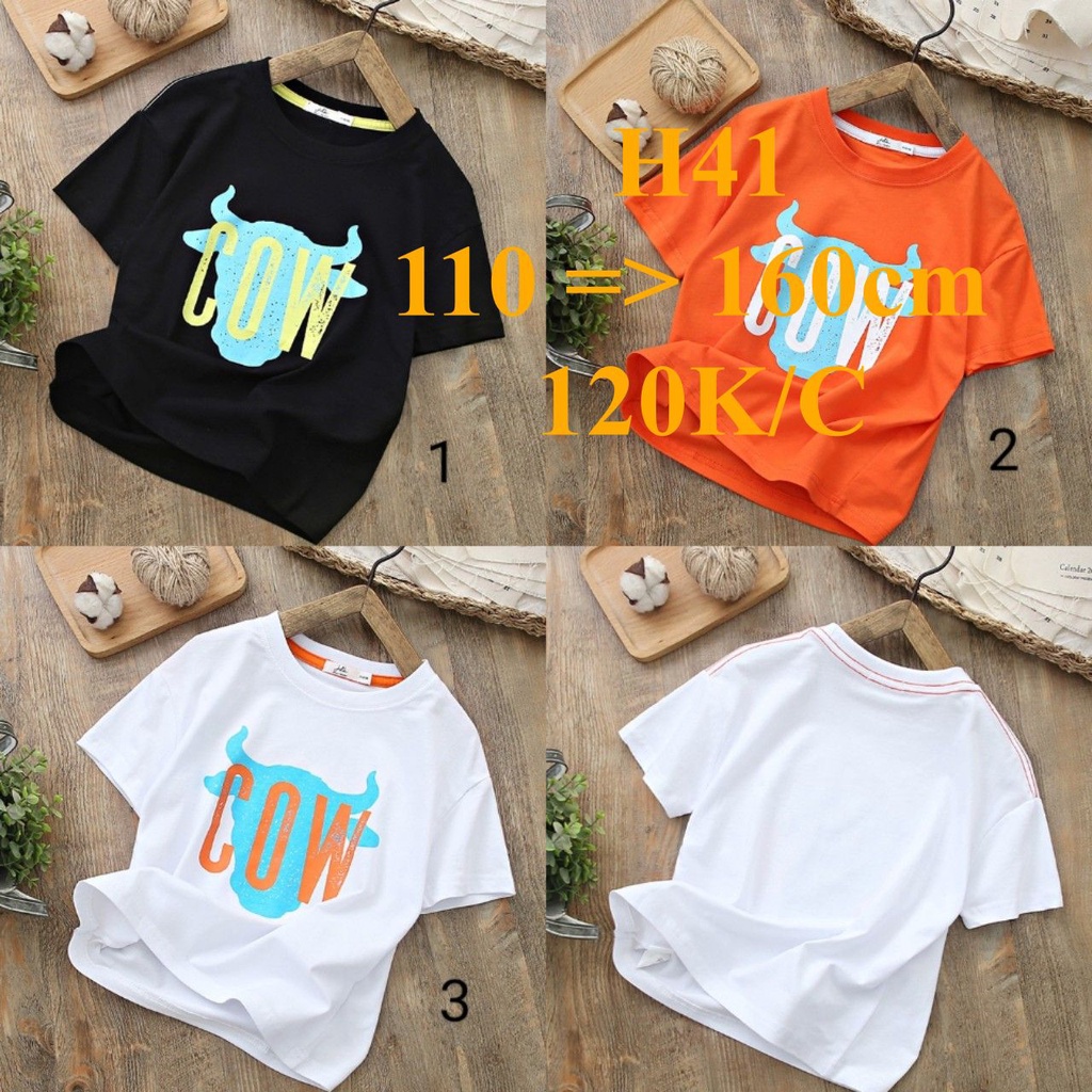 Mã H41: Áo phông JDK đầu bò Cow, chất 100% cotton thấm mồ hôi (BC 6696)