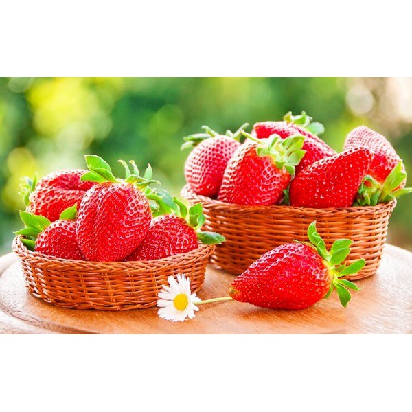 Bột Dâu Tây Trivie