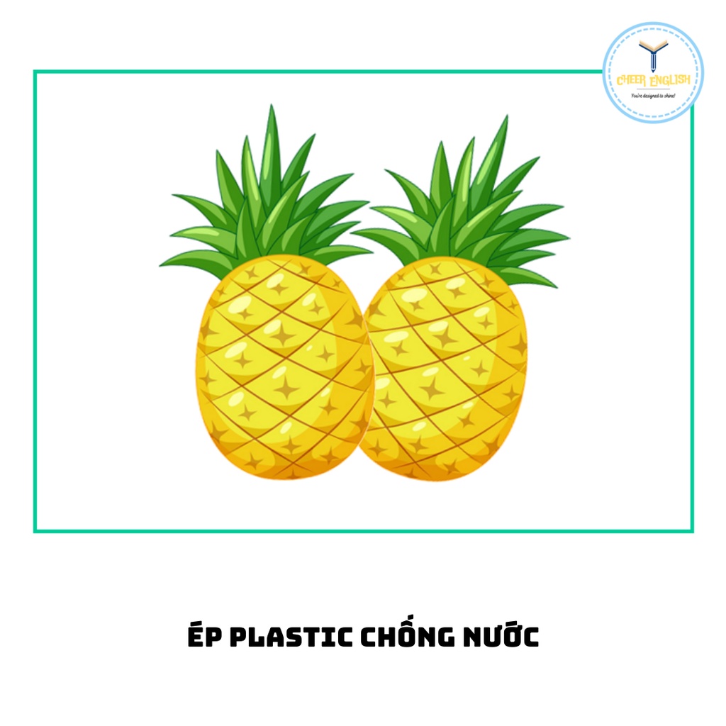 Flashcard chủ đề trái cây thẻ học từ vựng Tiếng Anh chủ đề trái cây ép plastic
