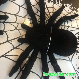 Nhện Nhung Lớn Size 10 x 17cm ( Vỉ 2 con)