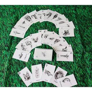 Bộ thẻ animal 4D