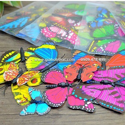 Bộ 10 Con Bướm 3d Trang Trí Có Nam Châm - Size Nhỏ Lớn Xen Kẽ -6303