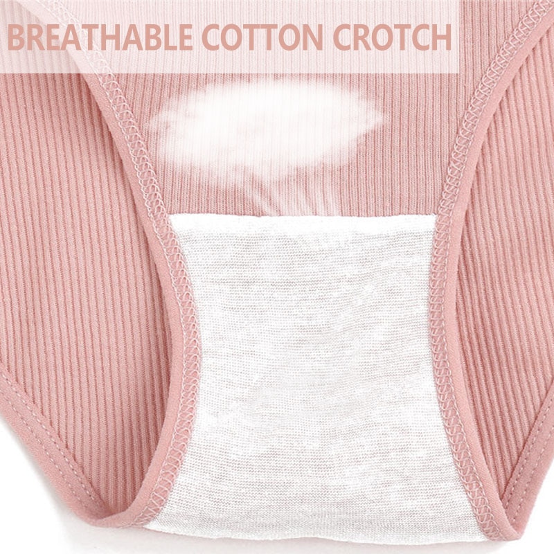 Set 5 quần lót TAKETALK cotton màu sắc đơn giản cho nữ