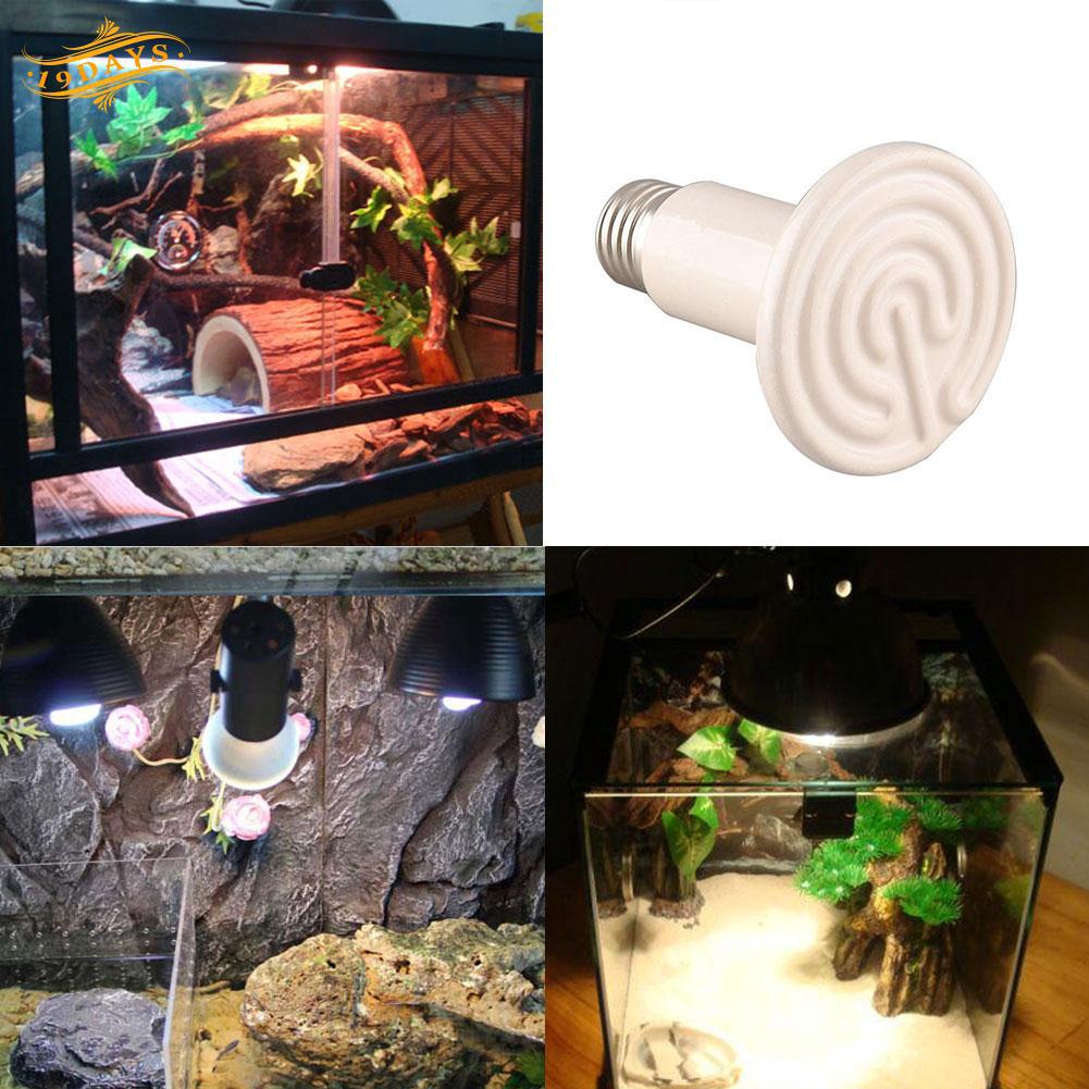Bóng đèn 100W sưởi ấm thú cưng bò sát