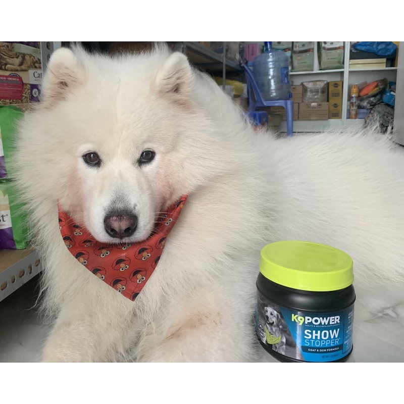 Bột dưỡng lông K9 ShowStopper cho chó giúp giảm rụng lông ;dưỡng dài và làm mượt lông 454gr