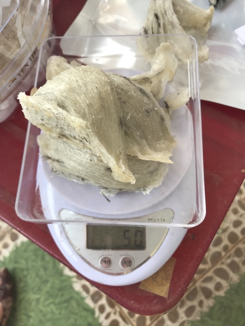 Yến sào nguyên tổ thô 10, 20gr+🎁 SHOPEE TRỢ GIÁ | BigBuy360 - bigbuy360.vn