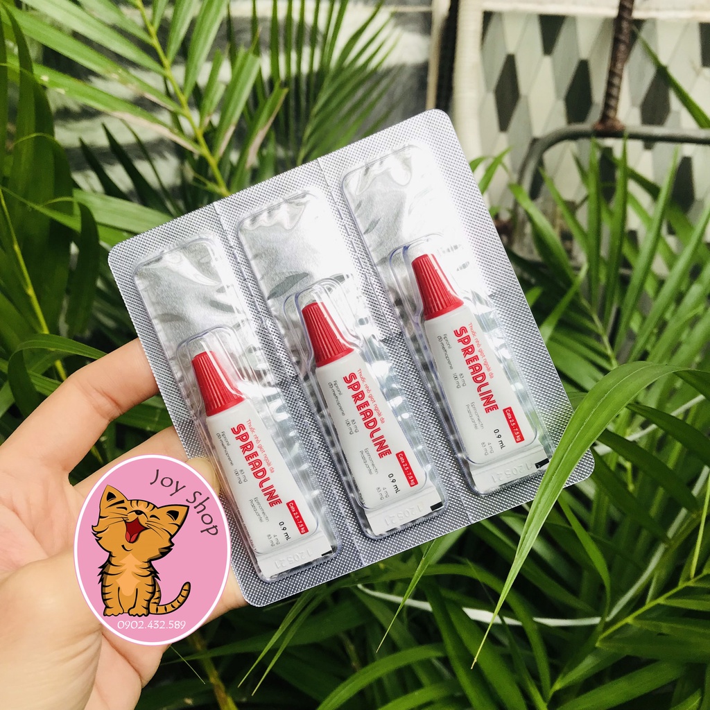 Nhỏ Gáy Spreadline Cho Mèo
