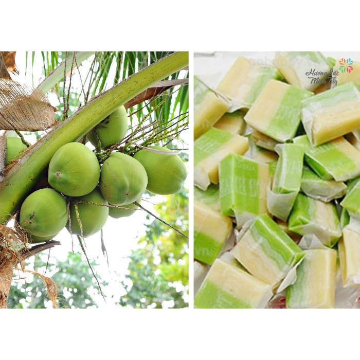 Kẹo Dừa Lá Dứa Đặc Sản Bến Tre Hộp 48 Viên