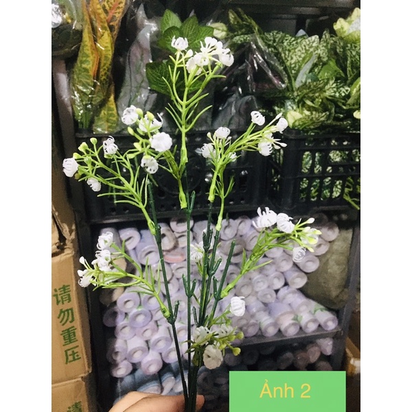 Ngọn đào đông gắn cành, cherry quả dài đỏ điểm bó hoa