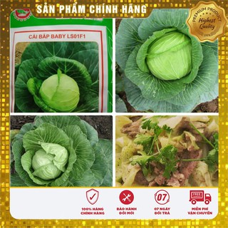 Bộ gói hạt giống Cải bắp