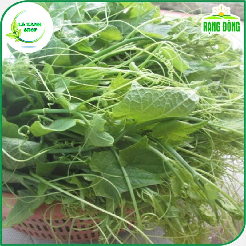 Hạt Giống Bí Siêu Ngọn (Bí Lấy Ngọn) Cao Sản Giòn Ngọt, Dễ Trồng (gói 20 gr) - Hạt giống Rạng Đông