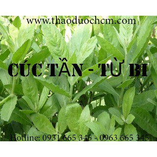 Cây Cúc Tần (Từ Bi)_ 100gr [Hàng Khô Loại Cao Cấp]
