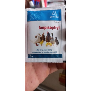 Ampiseptryl đường ruột heo con. phân trắng trên gà
