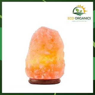 Đèn ngủ đá muối Himalaya trang trí phòng ngủ loại 2 - 3kg