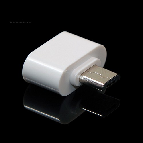 Đầu cắm OTG chuyển đổi Micro USB sang cổng cắm USB 2.0