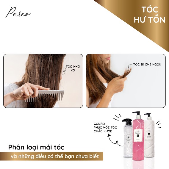 Combo[Gội-Xả-Dưỡng] PHỤC HỒI HƯ TỔN PARCO, dưỡng tóc chuẩn salon- Nuôi dưỡng,tăng độ đàn hồi, phục hồi tóc hư tổn