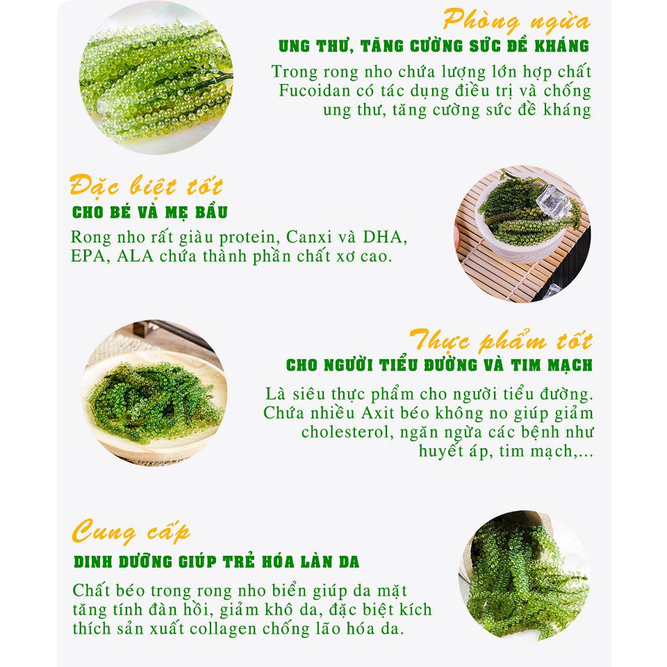 [Date mới] Rong nho tách nước Tasami mè rang, phô mai, tương wasabi theo tiêu chuẩn công nghệ Nhật Bản tươi ngon 175g | BigBuy360 - bigbuy360.vn