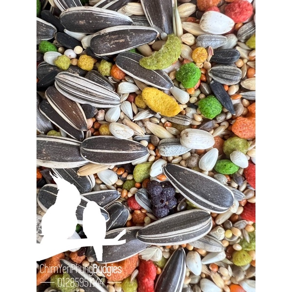 2kg thức ăn hạt hỗn hợp + Zupreem [Zupreem Mix Seed] cho Vẹt Lovebird • Cockatiel • Parrotlet.