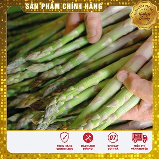 Hạt Giống Măng Tây Xanh(10 hạt)