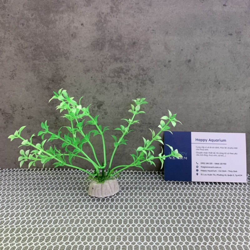 Cây rong nhựa trang trí bể cá 5k/cây