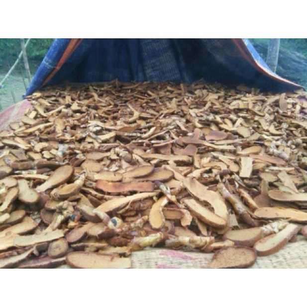 Ngọc cẩu tím khô 1kg