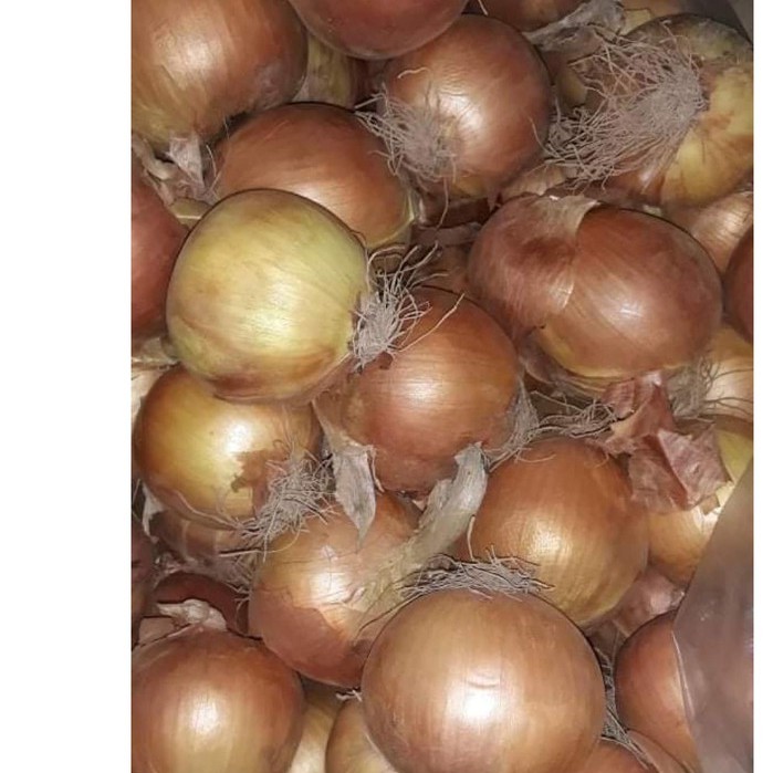 0.5 kg Hành tây