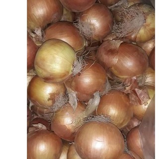 0.5 kg hành tây