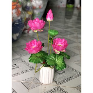 HOA SEN VẢI CỤM TO (K KÈM CHẬU SỨ)