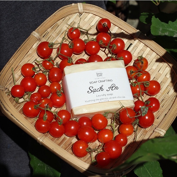 Xà phòng Sạch An Bèo Tấm Xà phòng rửa an toàn từ thiên nhiên, rửa trái cây, rửa thực phẩm, rửa bình sữa cho trẻ sơ sinh