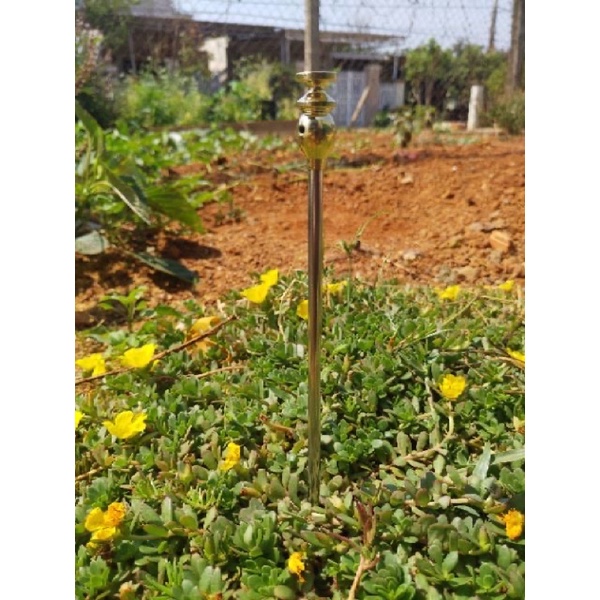 Cọc cắm gà đầu đồng siêu xịn