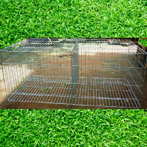 Lồng nuôi chim bồ câu bẳng kẽm 1 mét