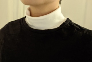 Cổ áo cổ lọ