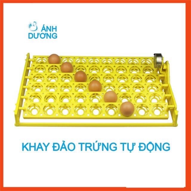 Khay đảo trứng tự động 54 quả làm từ nhựa ABS - Tự đảo trứng