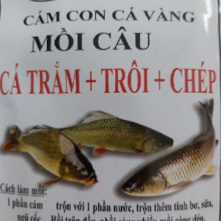 Mồi Cám Câu Cá Chép, Trắm, Trôi