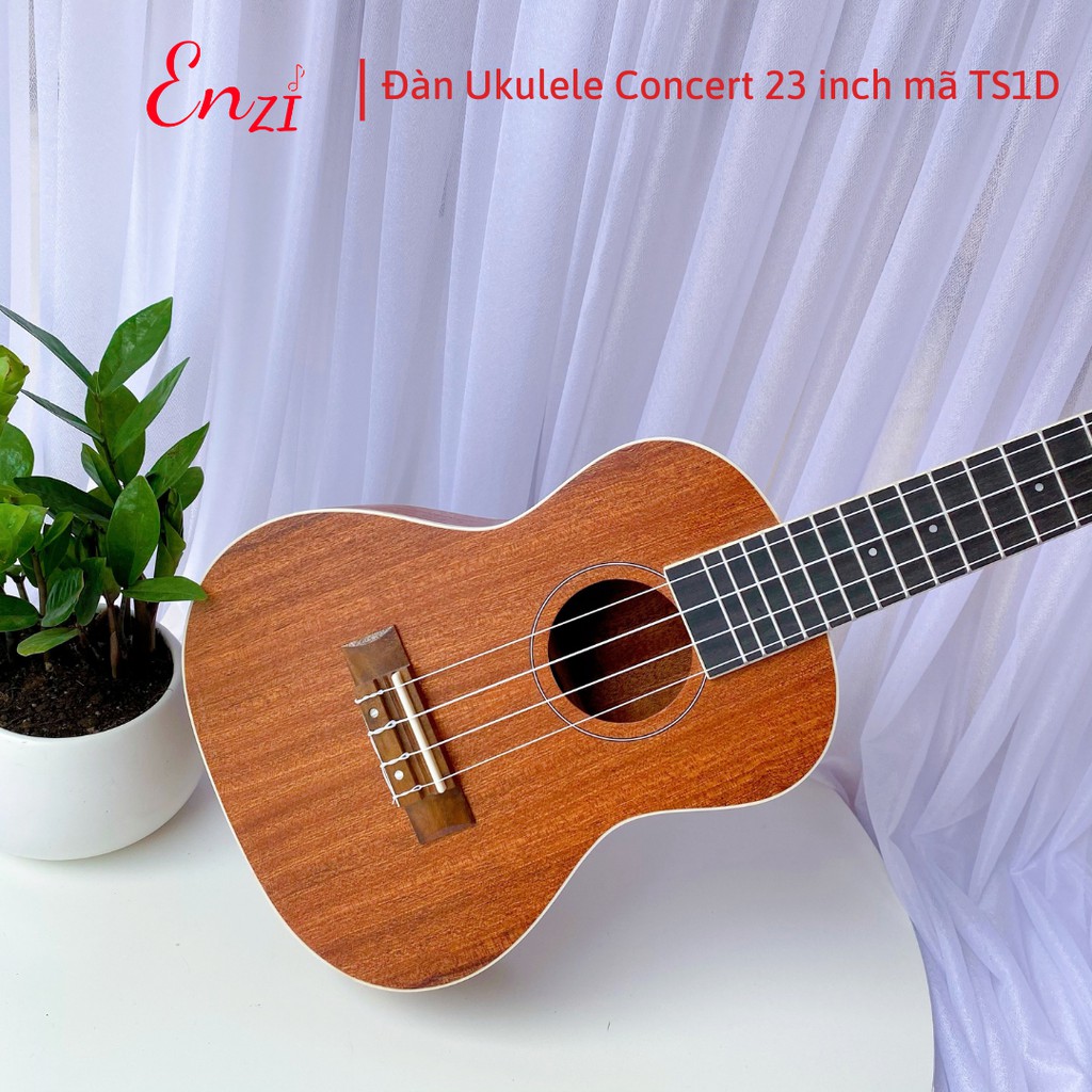 Đàn ukulele concert TS1D Enzi 23 inch gỗ mộc trơn khóa đúc giá rẻ cho bạn mới bắt đầu tập chơi